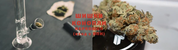 дживик Беломорск
